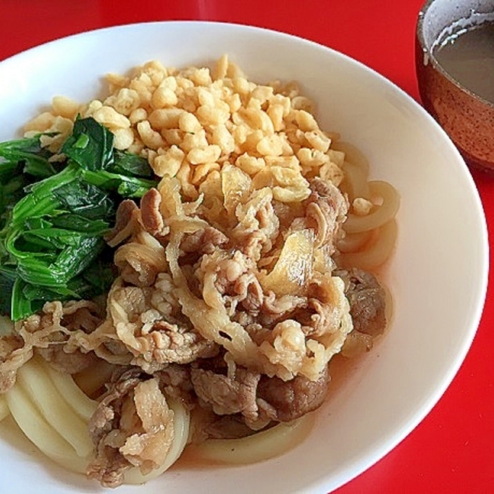 牛肉とほうれん草のスタミナ冷やしうどん